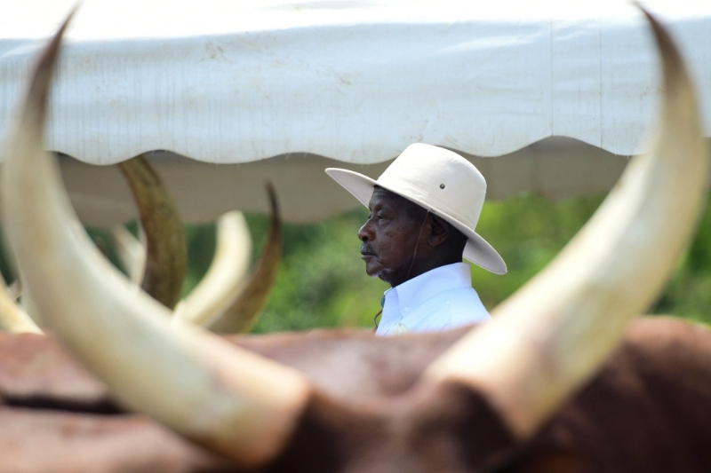 Le président ougandais Yoweri Museveni dans sa ferme à Kisozi, dans le district de Gomba, dans la région centrale de l'Ouganda, le 16 janvier 2022.