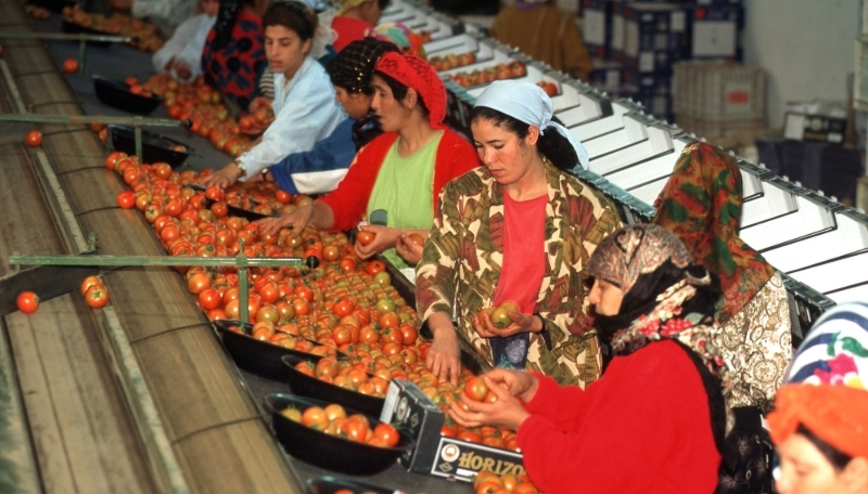 Coopérative agricole de M'Brouka, à Agadir, 1999.