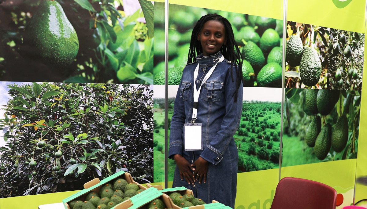 Un stand au deuxième Congrès africain sur l'avocat, à Nairobi, en mai 2023.