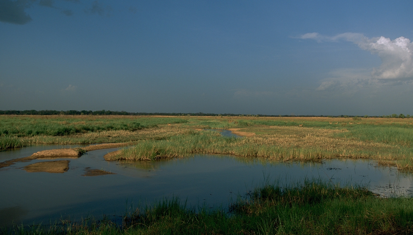 Vue dans le parc de Manovo-Gounda, en Centrafrique.