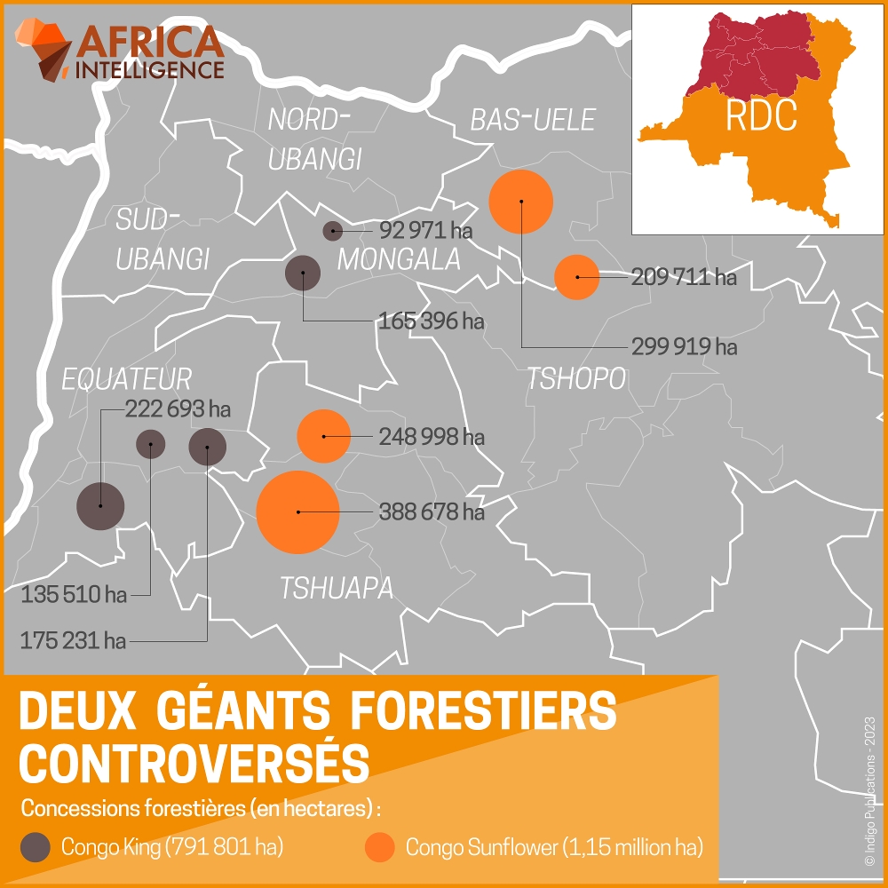 RDC • La ministre Eve Bazaiba aux prises avec les barons des forêts du ...