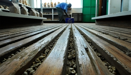 Une usine du secteur du café, à Nairobi, en 2011.