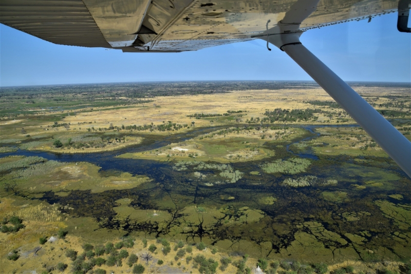 Le delta de l'Okavango, au nord du Botswana, où doit être développé le projet de Maun Science Park.