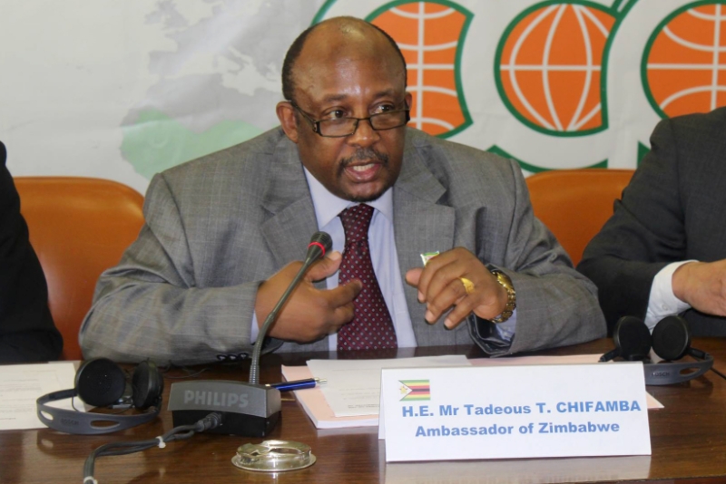 Le nouvel ambassadeur du Zimbabwe aux Etats-Unis, Tadeus Chifamba, représentait jusqu'ici son pays auprès des institutions européennes.