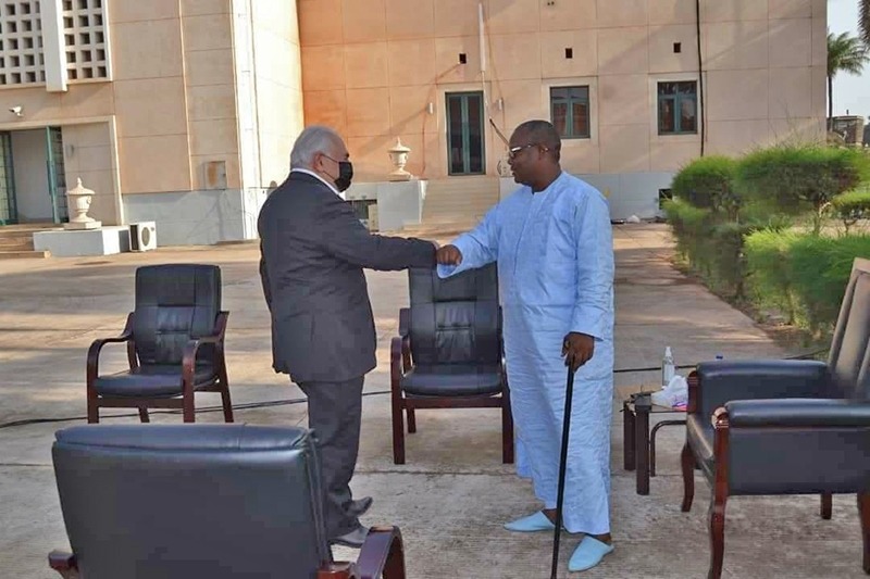 L'entrevue entre Dominique Strauss-Kahn (à gauche) et le président bissau-guinéen Umaro Sissoco Embaló à Bissau, le 15 janvier.
