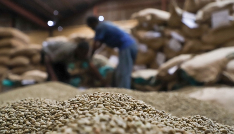 Des ouvriers entreposent des grains de café à la Mullege Public Limited Company, à Addis-Abeba, en Éthiopie, le 1er juillet 2023.