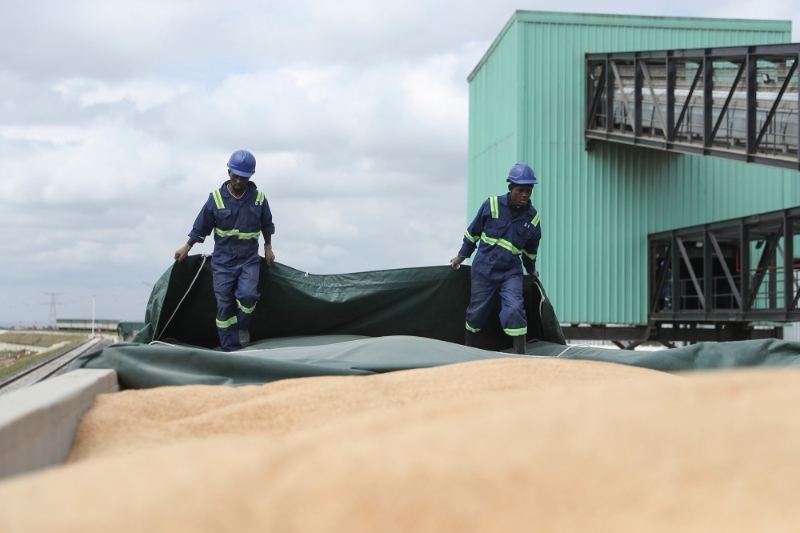 Des travailleurs sur la ligne d'expédition de céréales en vrac de Grain Bulk Handlers (GBHL), le 18 mai 2022.