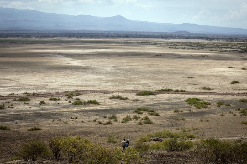 La sécheresse frappe durement le Kenya. Ici, le parc national d'Amboseli, le 18 décembre.