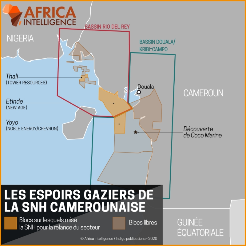 Les espoirs gaziers de la SNH camerounaise.